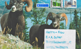 019 - fantasievolles couvert